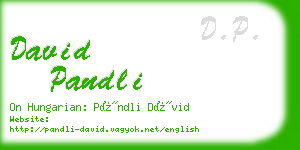 david pandli business card